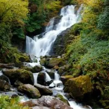 Bed & Breakfast Irish Guest Cill Airne