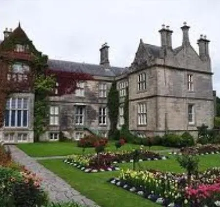 Bed & Breakfast Irish Guest